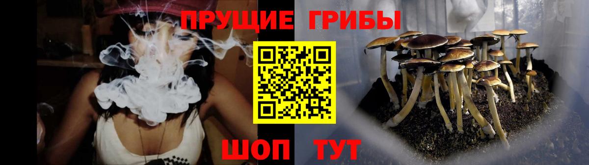 Галлюциногенные грибы прущие грибы Саяногорск