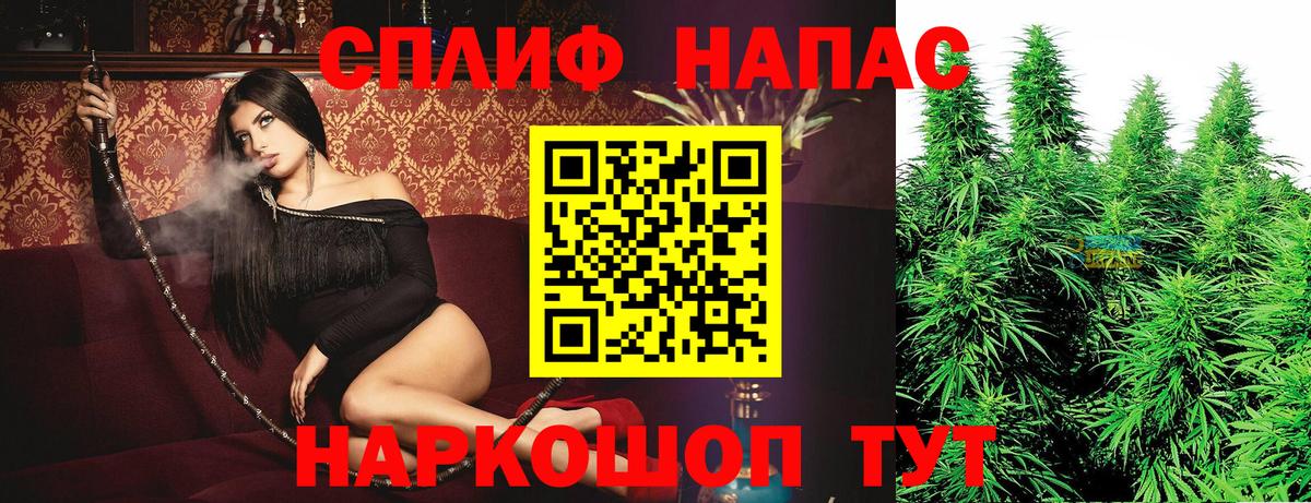Бошки Шишки семена  Вход с VPN  Шишки марихуана SATIVA & INDICA  Саяногорск  Бошки марихуана SATIVA & INDICA 